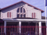 /album/fenykepgaleria/pa070181-masolata-jpg/